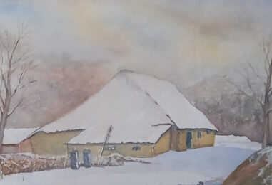 20251217_115641 20251217_115641